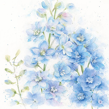 Card Delphiniums